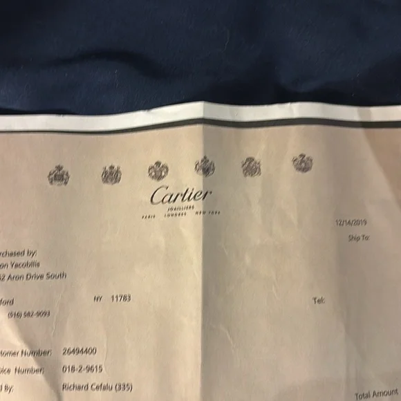 Cartier Gold Interlocking Rings Bracelet with Delicate Chain - Picture 11 of 12